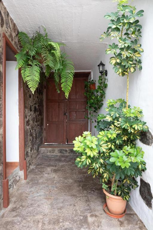 גרצ'יקו Casa Canaria Acero מראה חיצוני תמונה