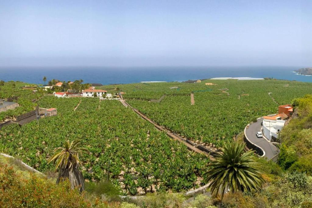גרצ'יקו Casa Canaria Acero מראה חיצוני תמונה